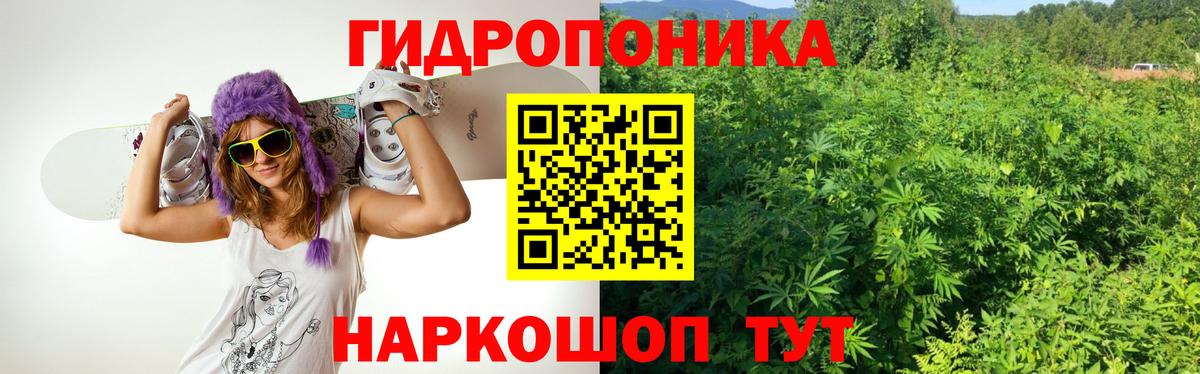 Каннабис SATIVA & INDICA Кунгур
